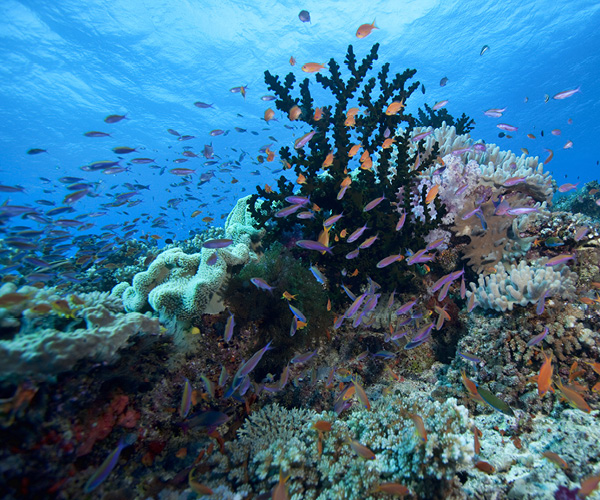 Solitary Islands Marine Park