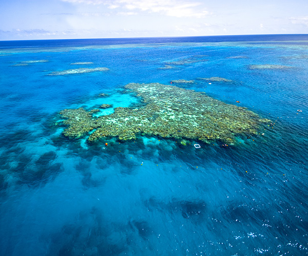 The Great Barrier Reef