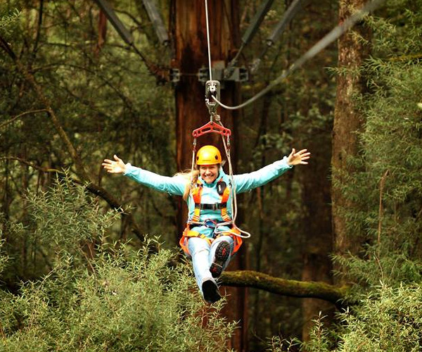 Otway Fly Treetop Adventures